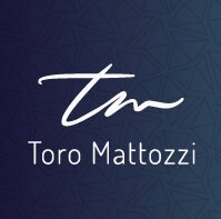 logo toro matozzi